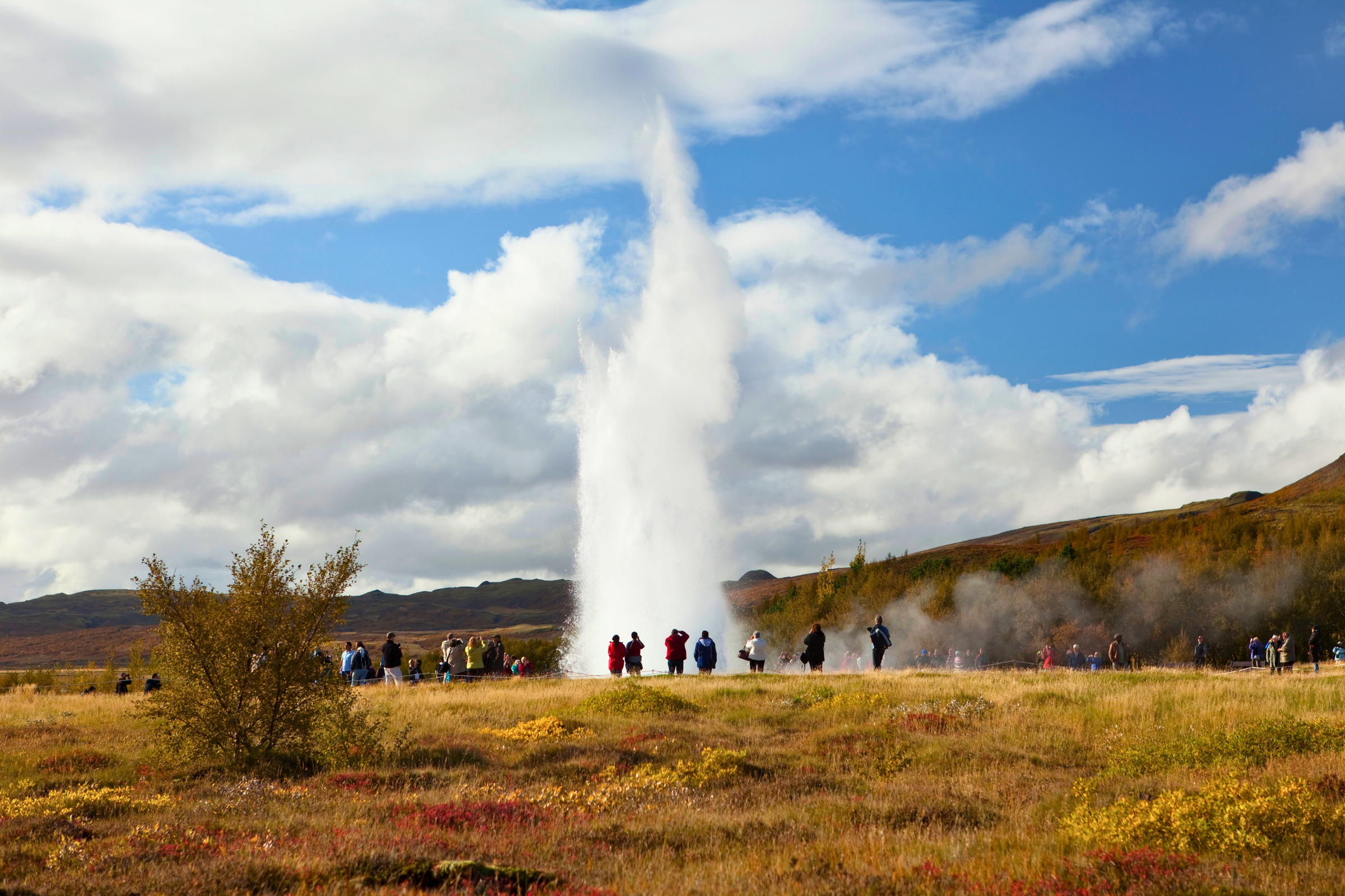 reykholt (4).webp